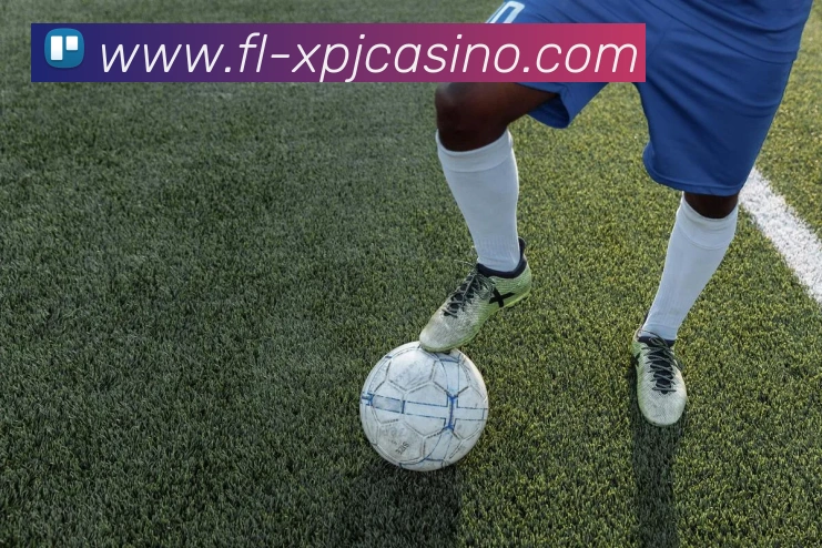 新葡京娱乐APP 封面图